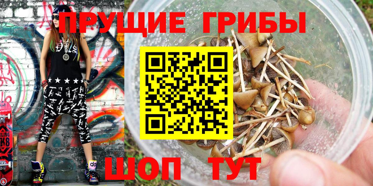 Псилоцибиновые грибы Magic Shrooms Будённовск