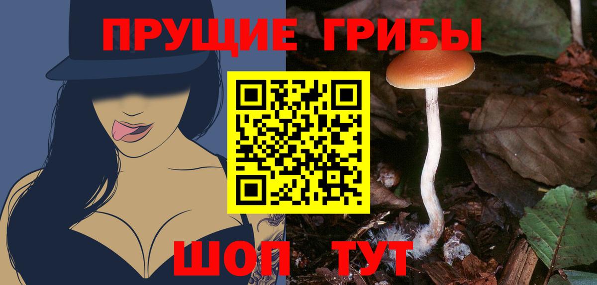 APVP Будённовск